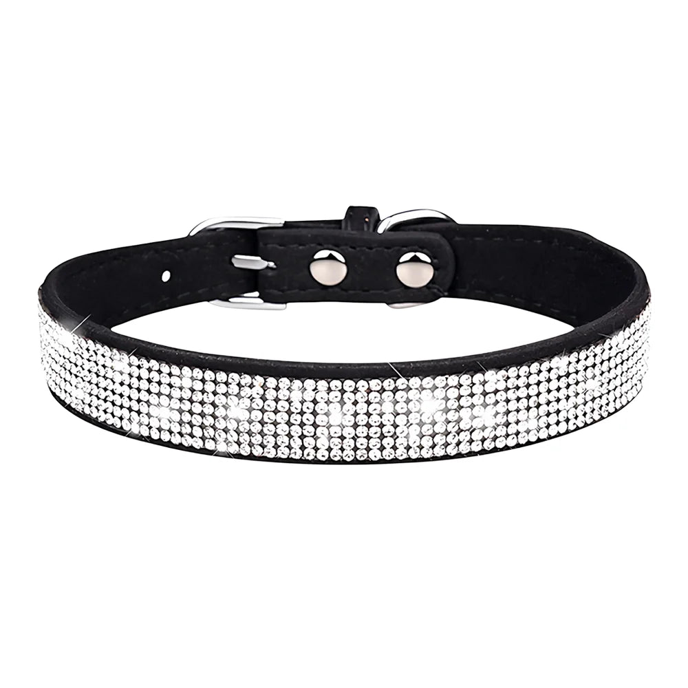 Luxe Fashion Pet Collar