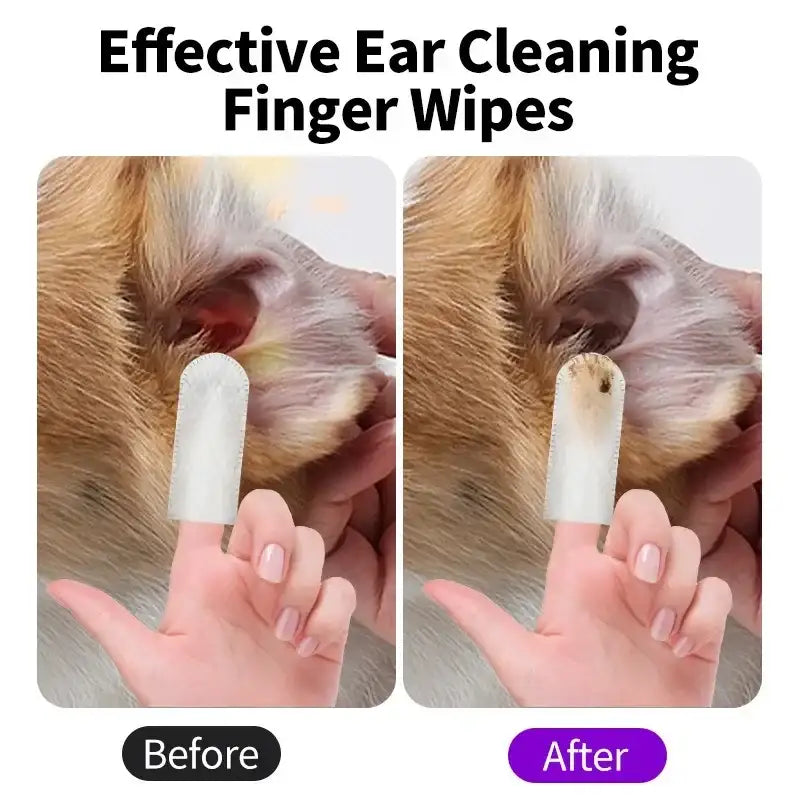 AuricleClean - Original