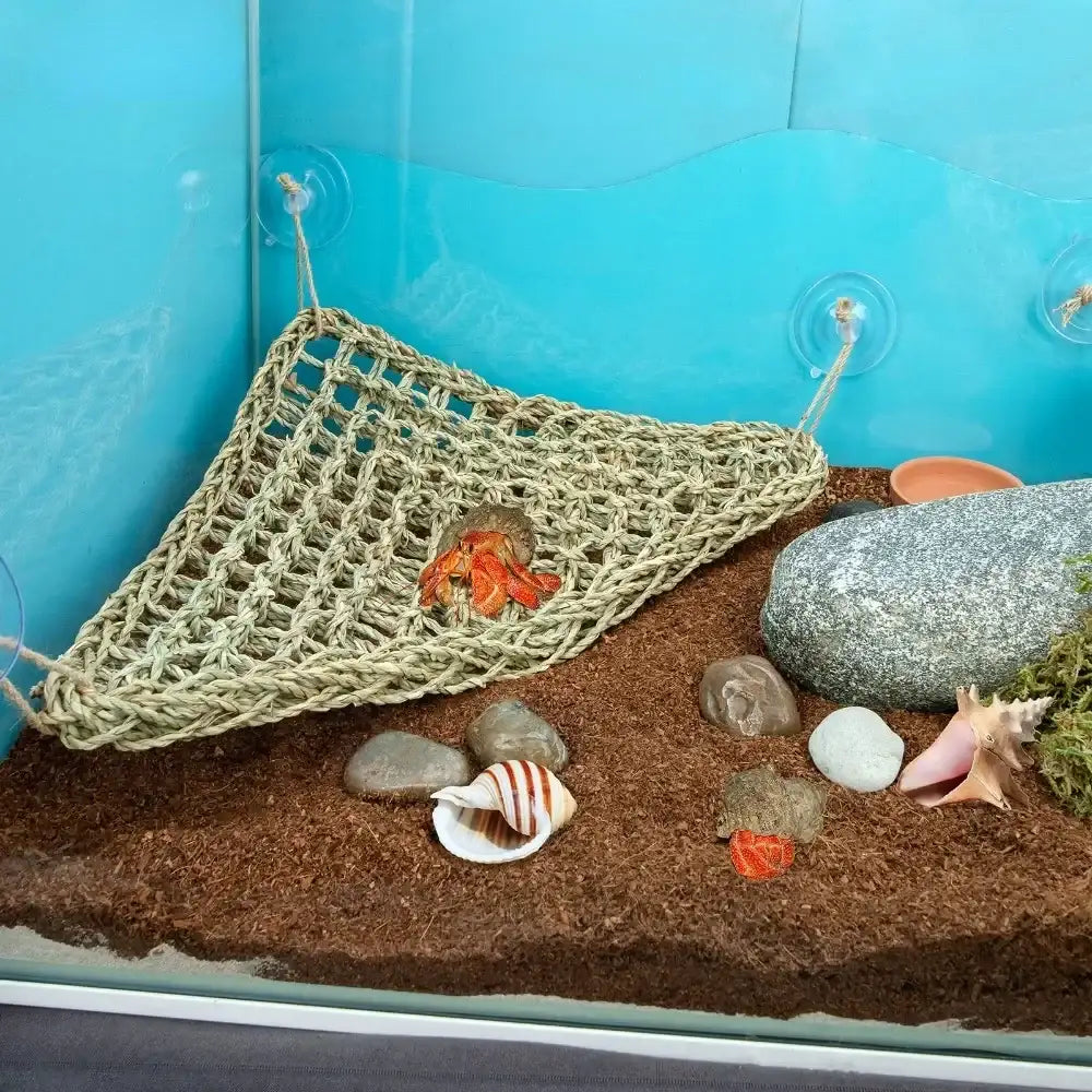SeaBreeze Hammock
