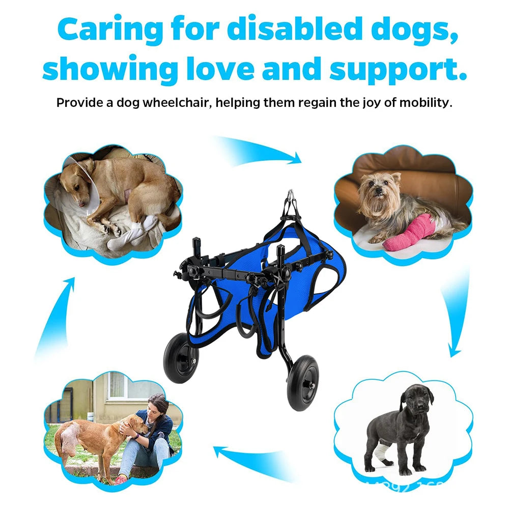 Mobilicare Pet