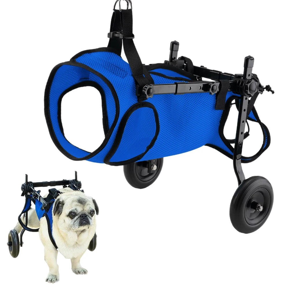 Mobilicare Pet