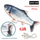  A grass carp