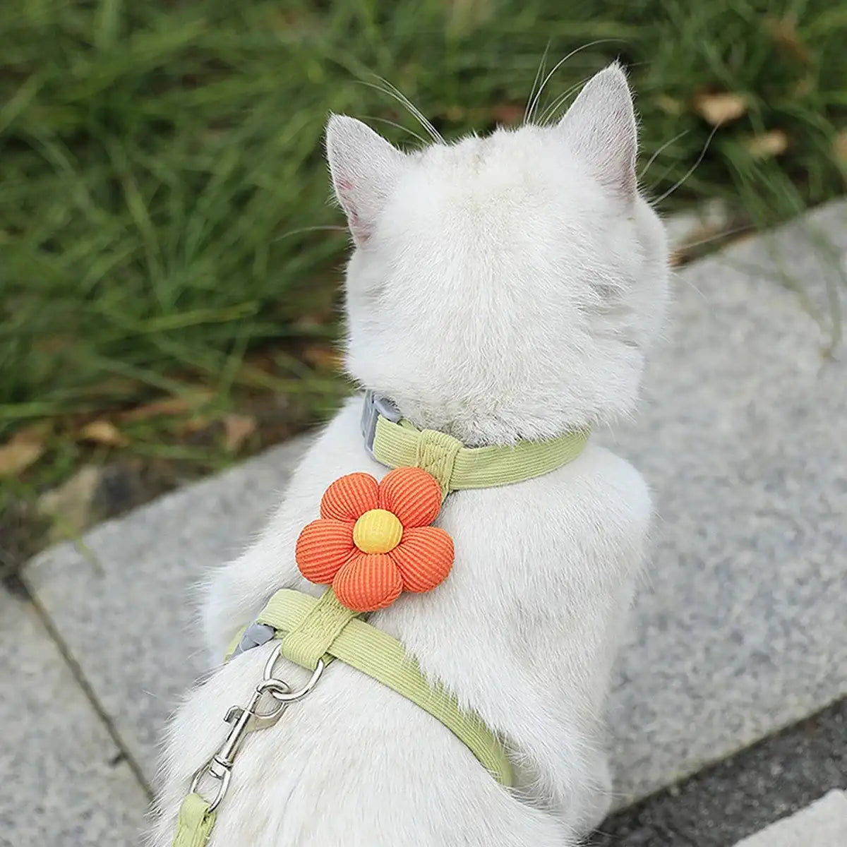 WhiskerStride