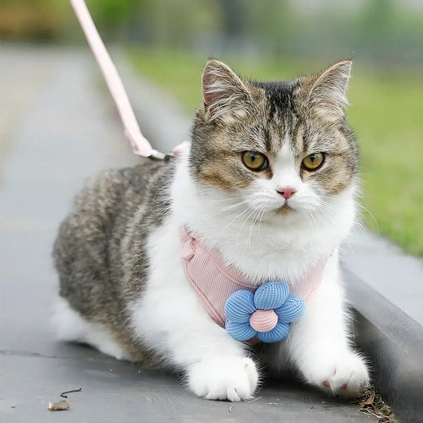 WhiskerStride