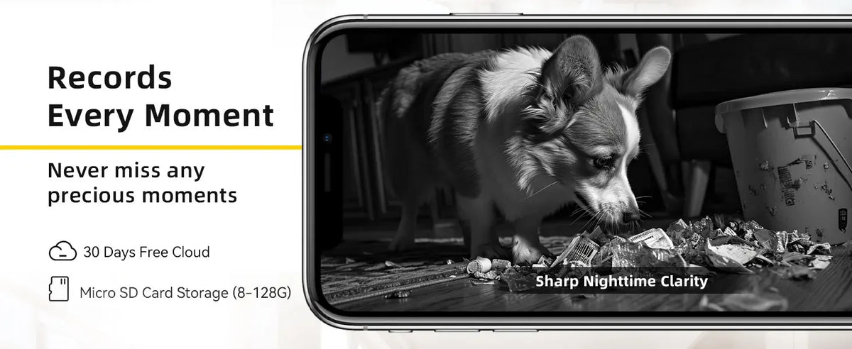PetGuard Vision 2K Advanced