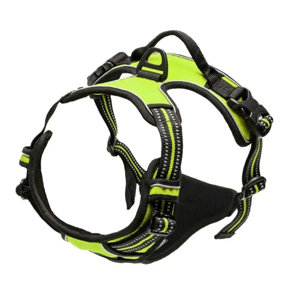 SafeTrail Harness