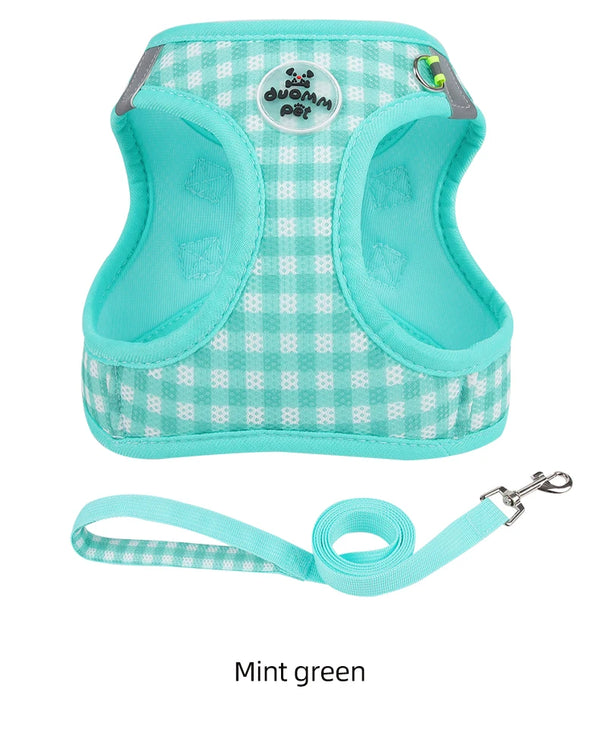 Dog Harness and Leash Set