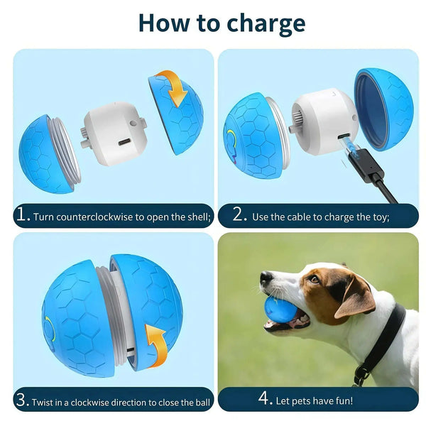 VibraPaw Orbit USB Automatic