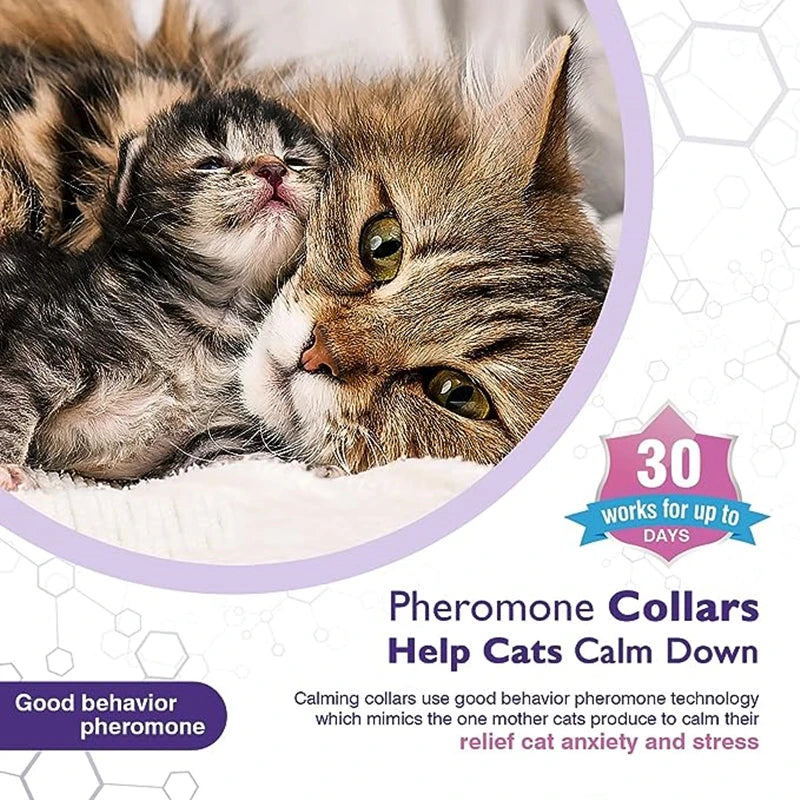 LumeCalm Collar