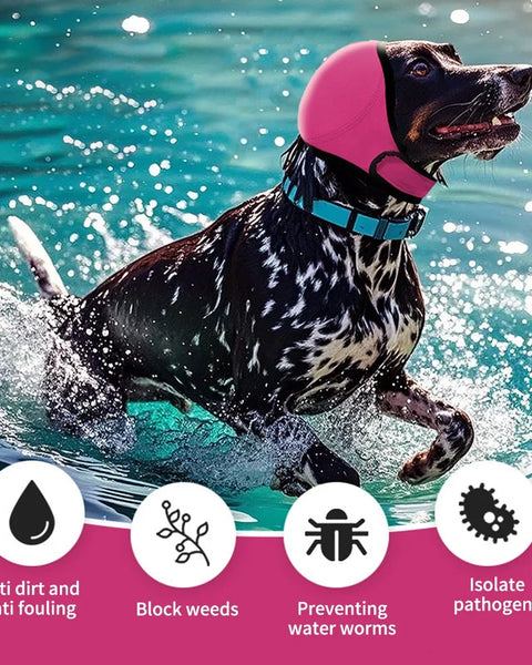 CalmGuard Dog