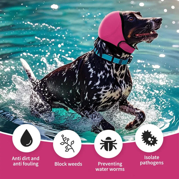 CalmGuard Dog