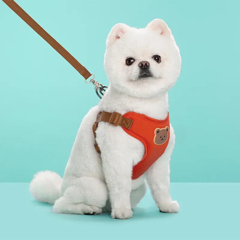 Cute Dog Harness and Leash Set