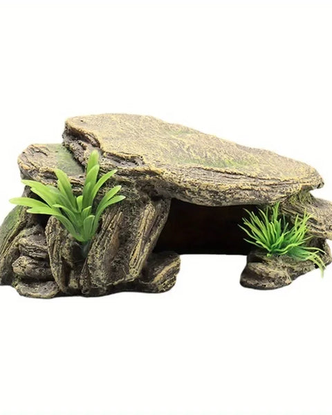 RockNest Decoration Terrace