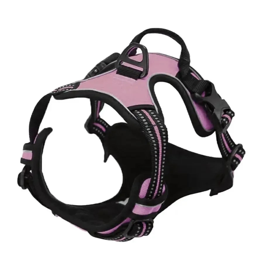 SafeTrail Harness