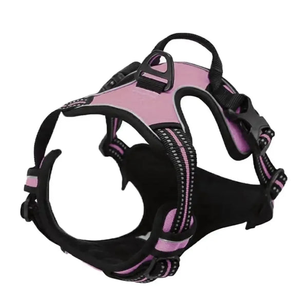 SafeTrail Harness