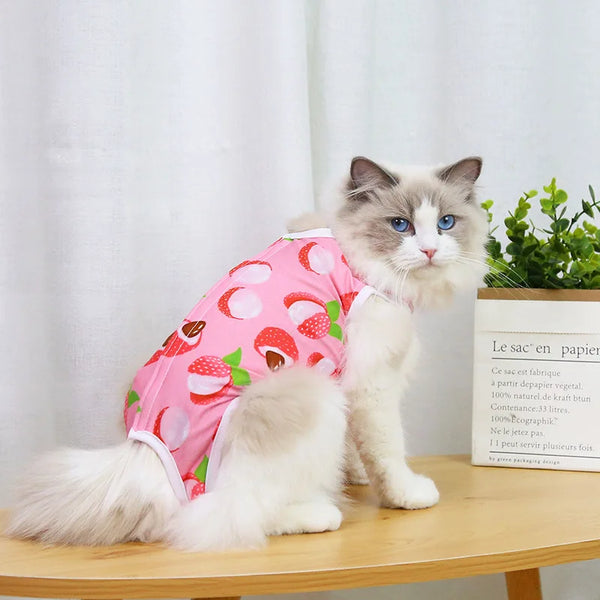 PetRecovery Anti-Licking Suit