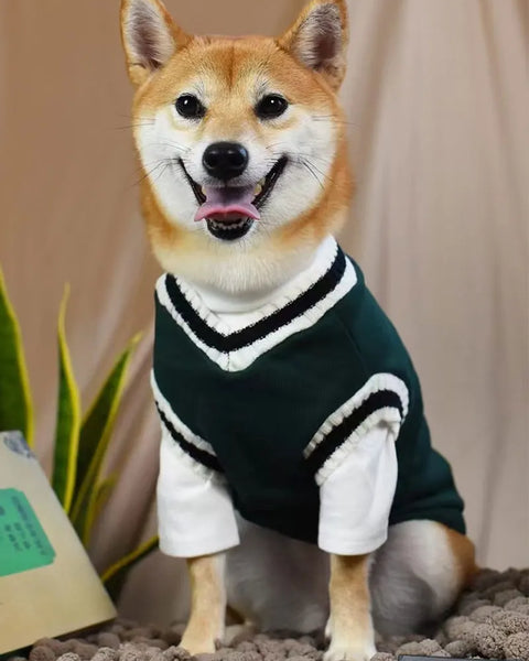 SnugBuddy Premium