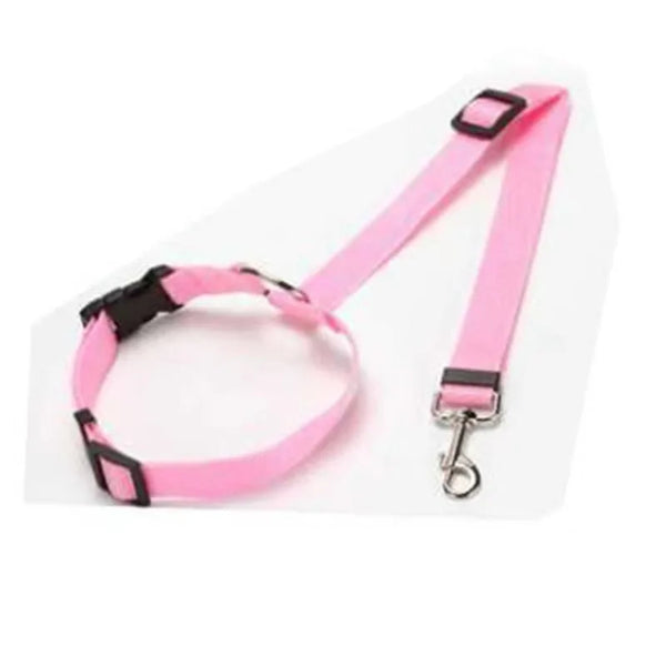 SafeRide Dog Belt