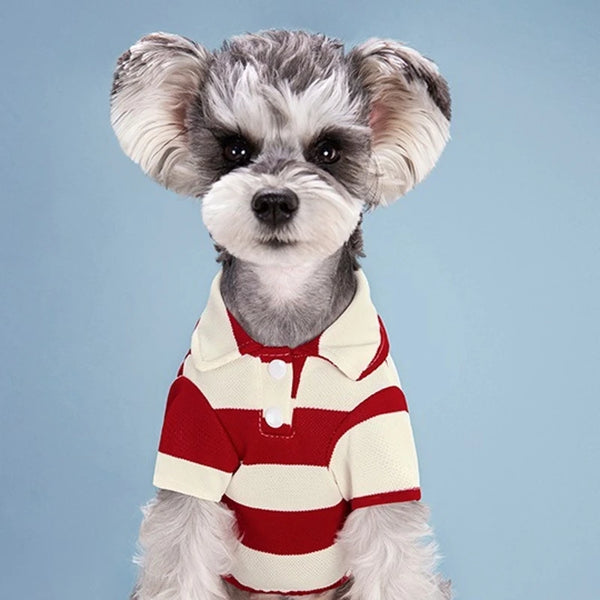 PawPolo Summer Shirt