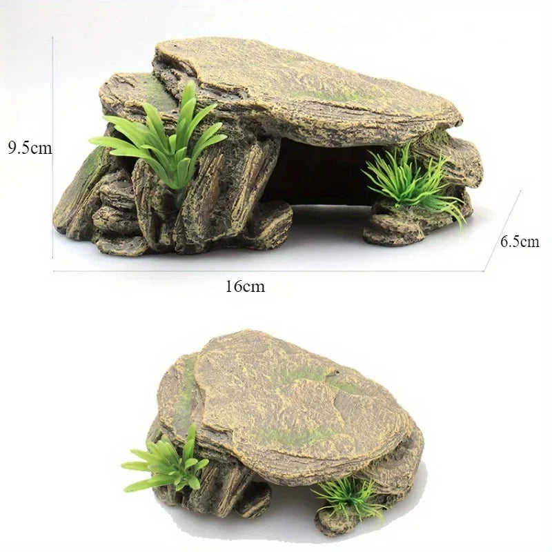 RockNest Decoration Terrace