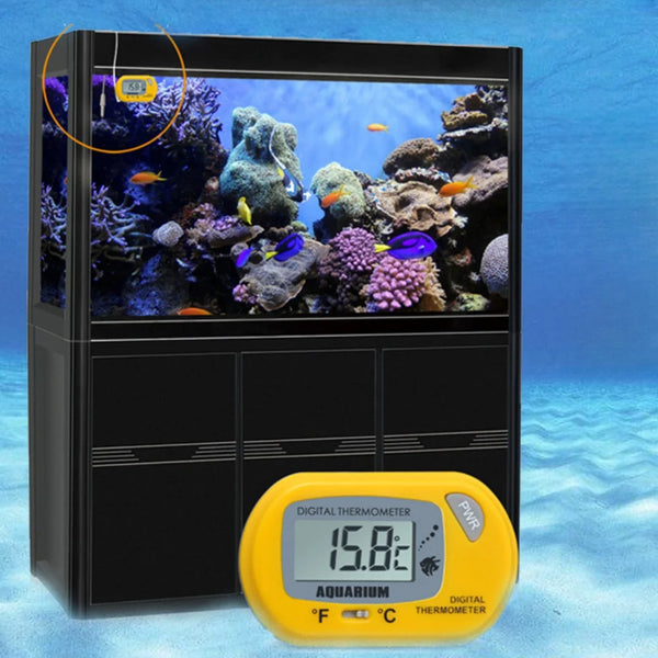Thermaqua Digital Aquarium