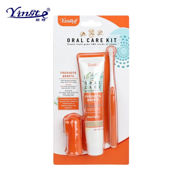FreshBite Dental Kit