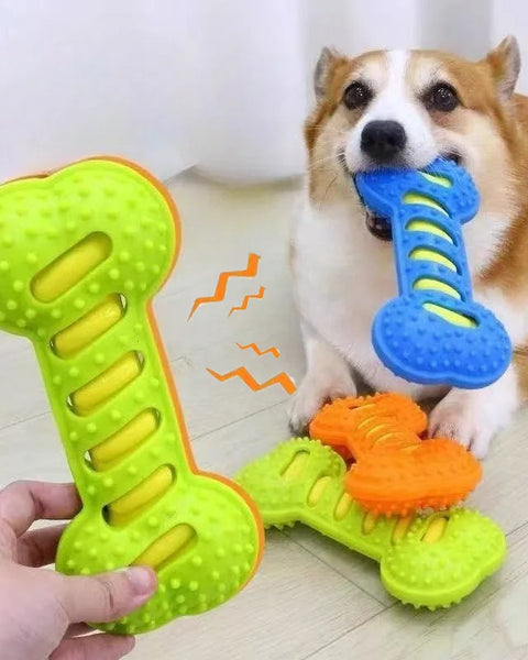 Durable bone-shaped rubber chew toy for dogs with built-in squeaker designed to promote dental health, reduce boredom, and support healthy chewing behavior