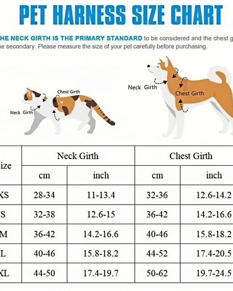Cute Dog Harness and Leash Set