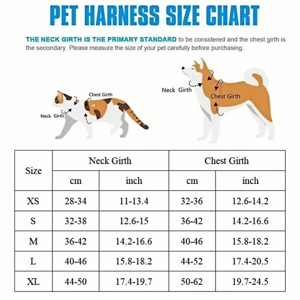 Cute Dog Harness and Leash Set
