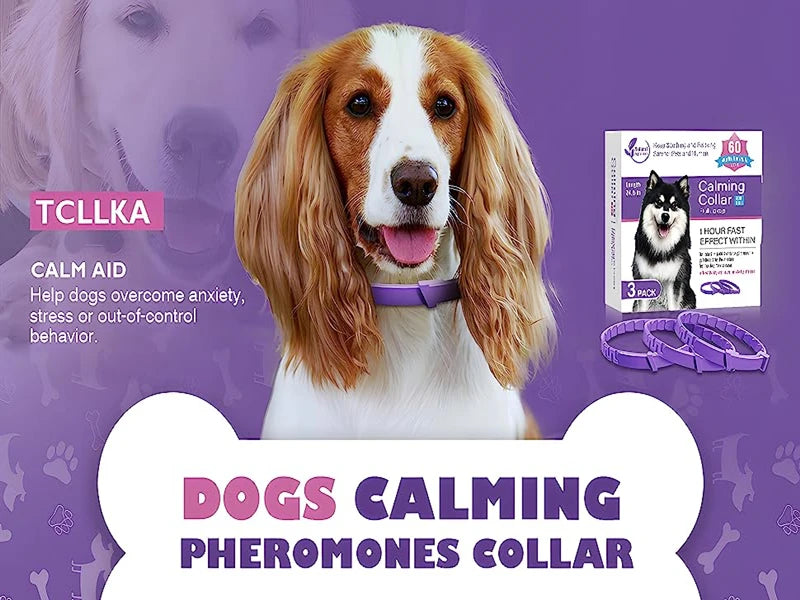 LumeCalm Collar