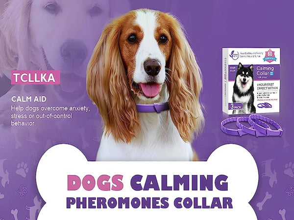 LumeCalm Collar