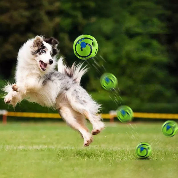 PupLaughter Ball