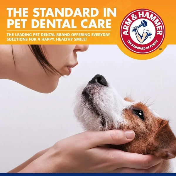 FreshBite Dental Kit
