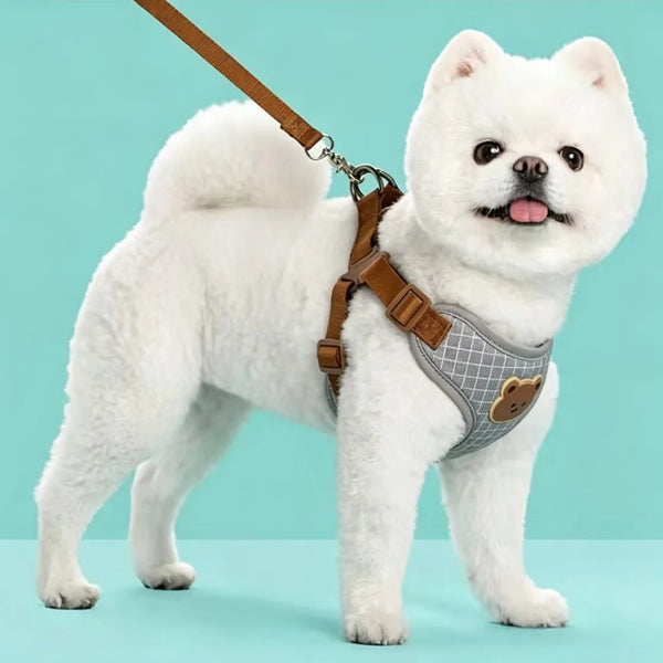 Cute Dog Harness and Leash Set