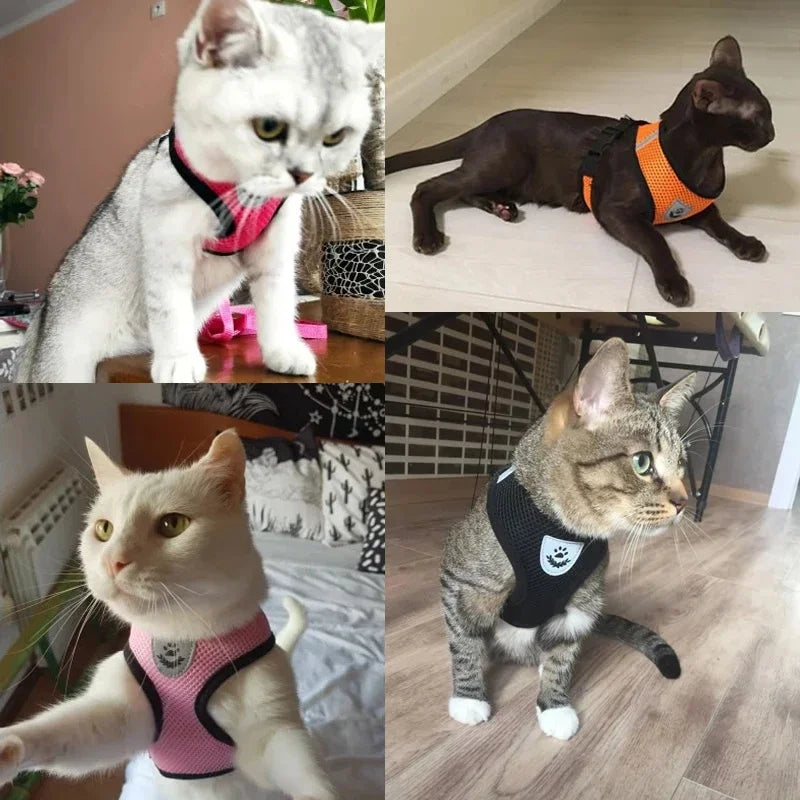 Veltra – Adjustable Pet Harness with Leash