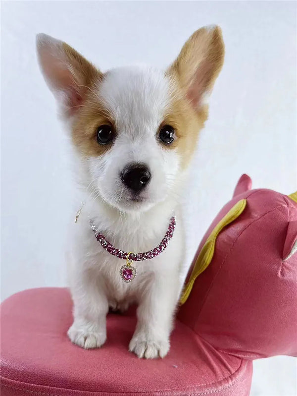 Aurora Heart Collar