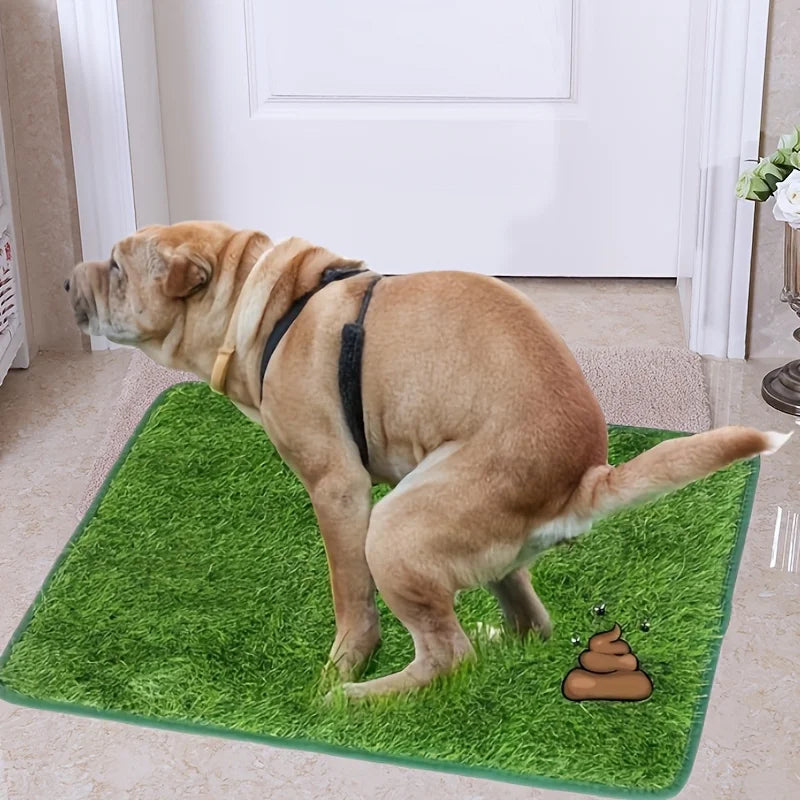 GreenSpot Trainer Mat Reusable, Odor-Control