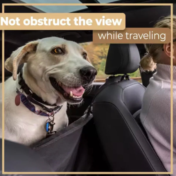 SafeNest Travel Hammock