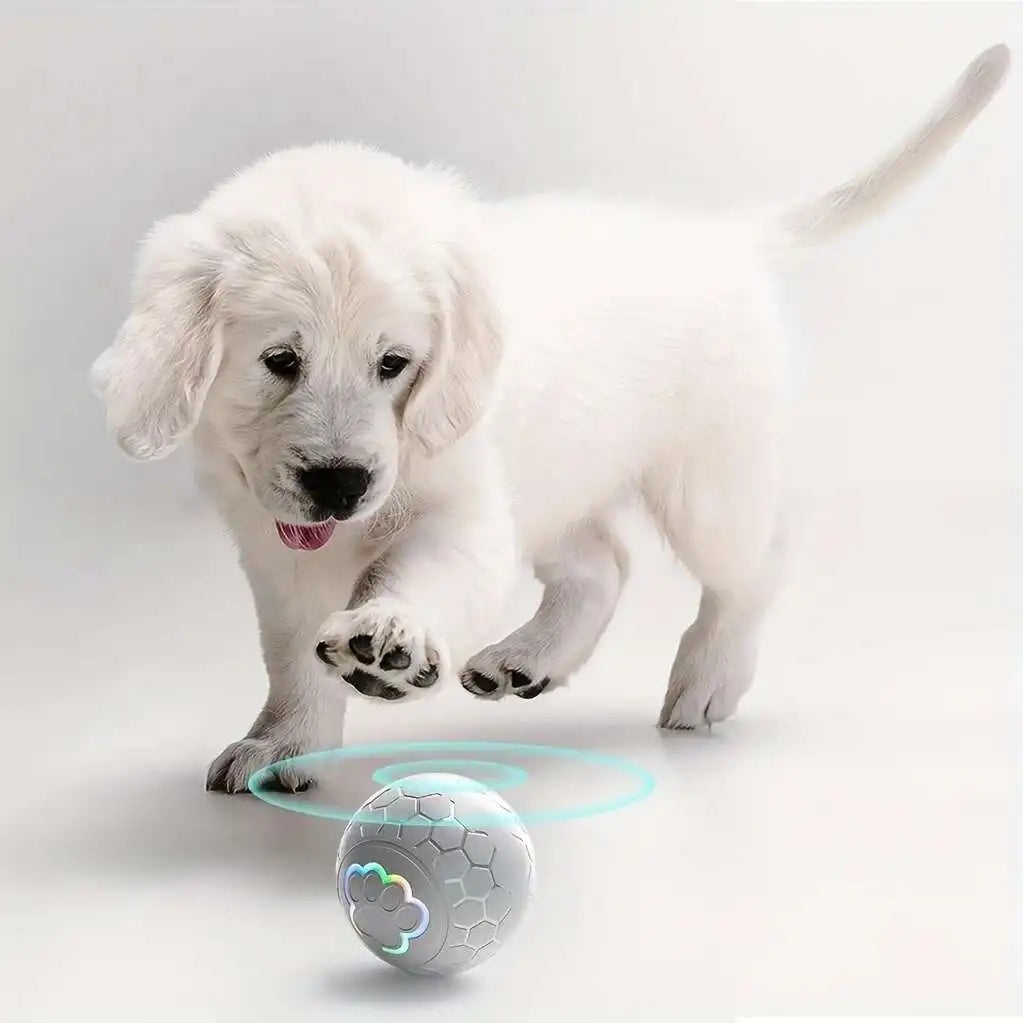 VibraPaw Orbit USB Automatic