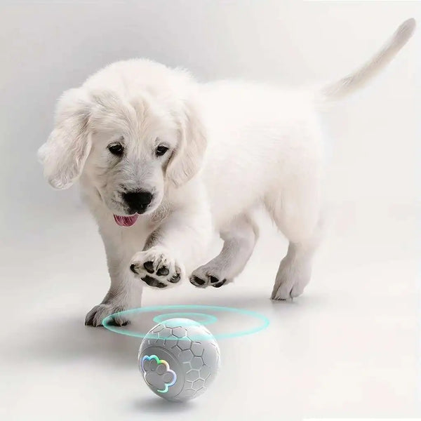 VibraPaw Orbit USB Automatic