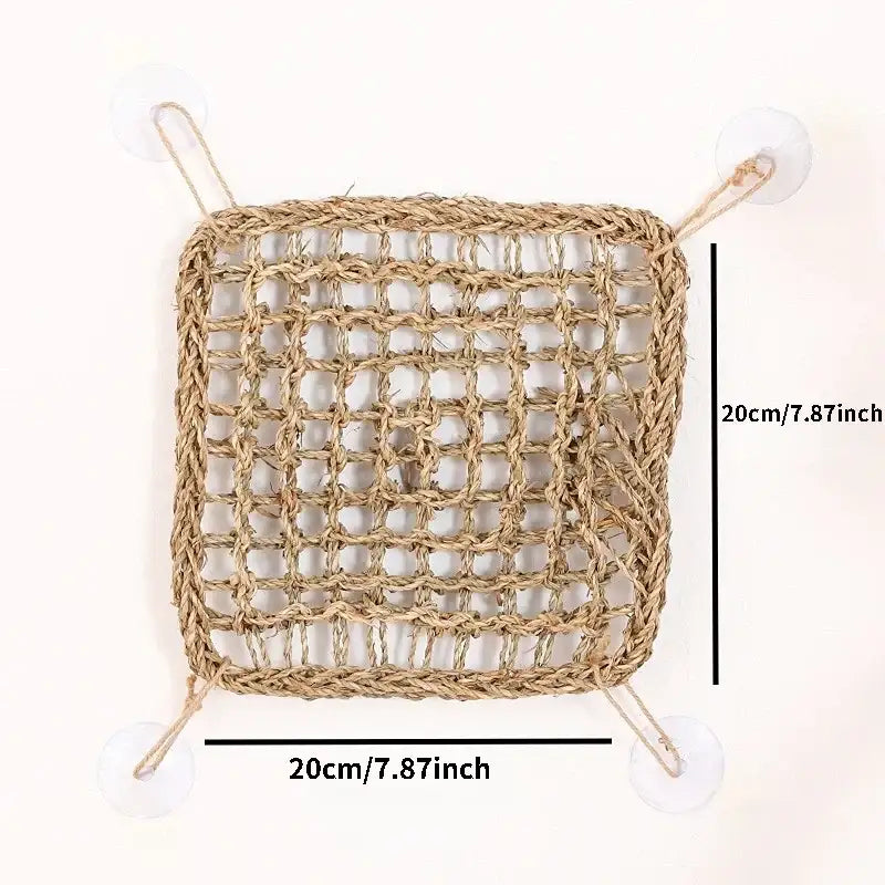 SeaBreeze Hammock
