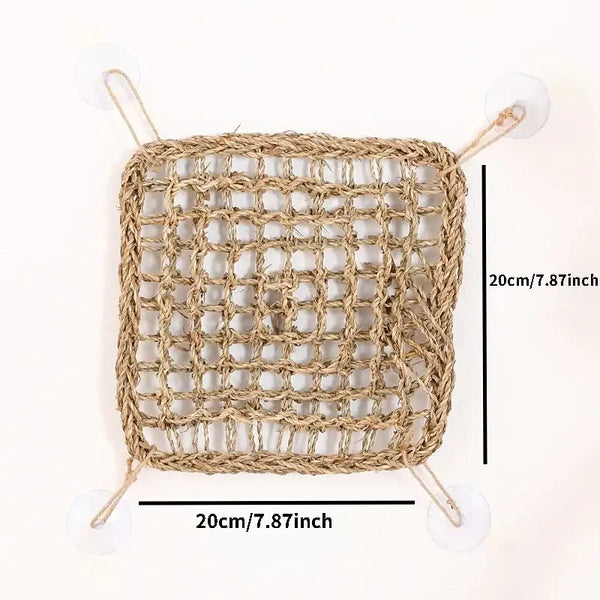 SeaBreeze Hammock