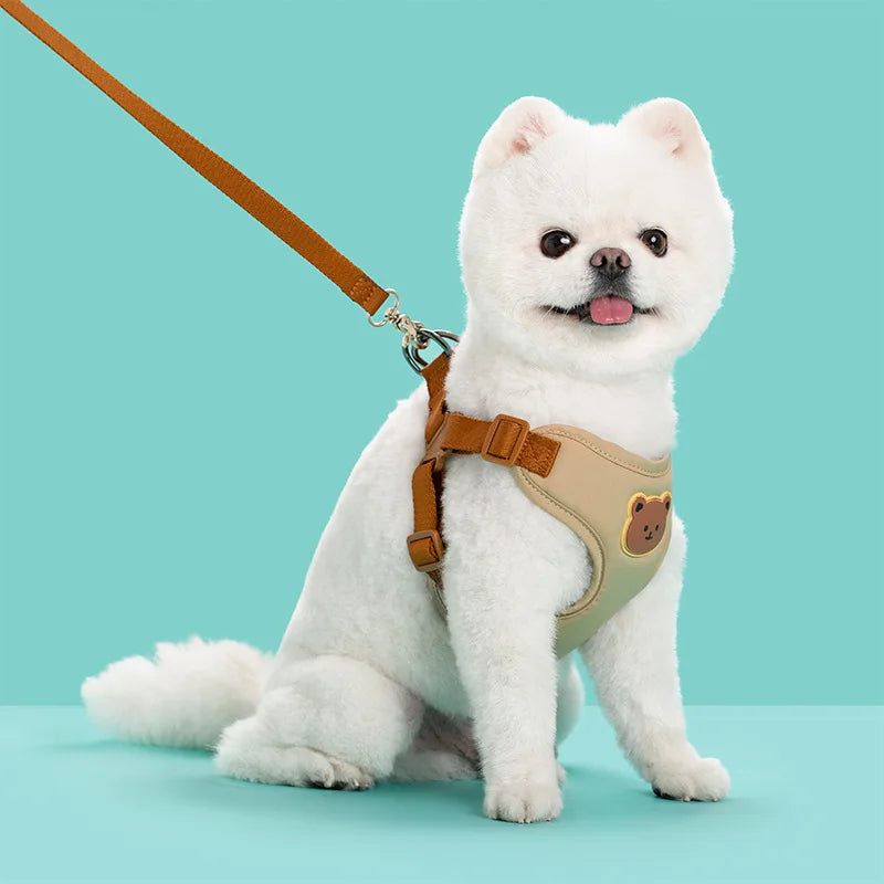 Cute Dog Harness and Leash Set