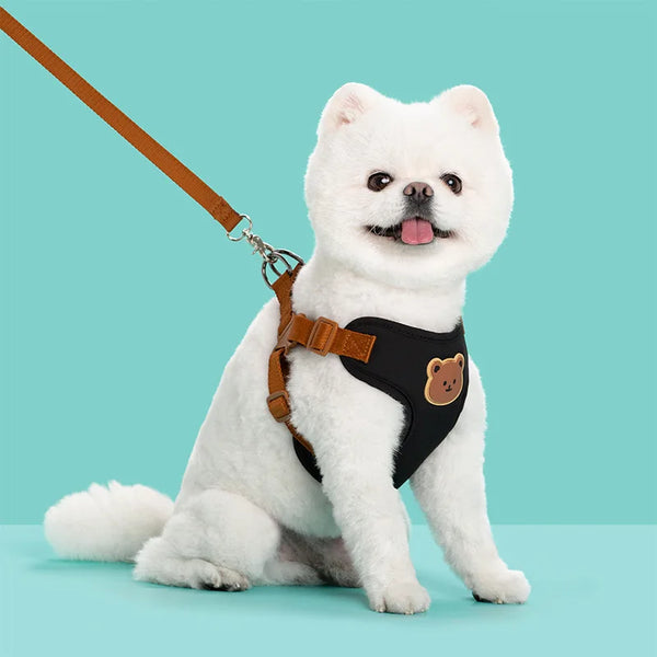 Cute Dog Harness and Leash Set