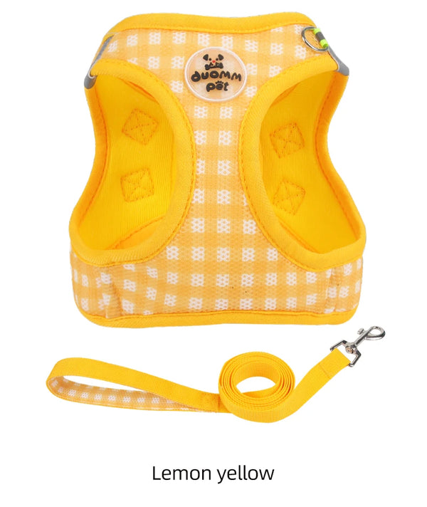 Dog Harness and Leash Set