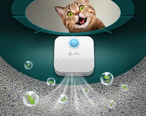 Odor Purifier