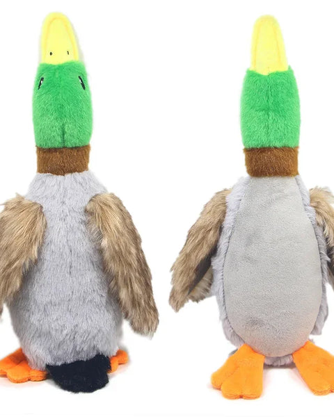 Mastiquack Sound