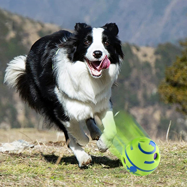PupLaughter Ball