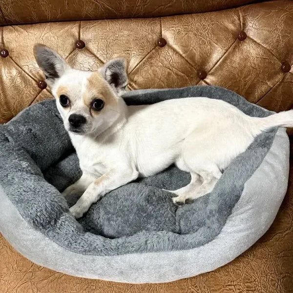 CuddleNest Premium Dog & Cat Bed