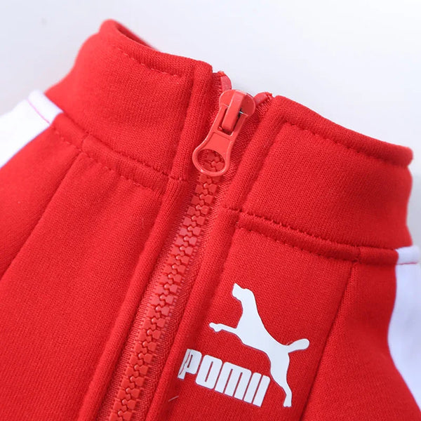 WinterPaws Baseball Jacket